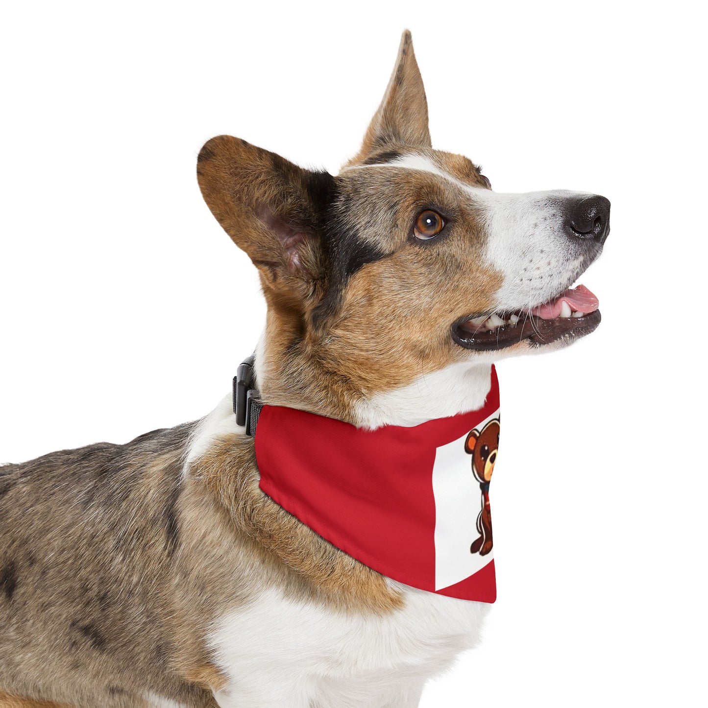 Pet Bandana Collar