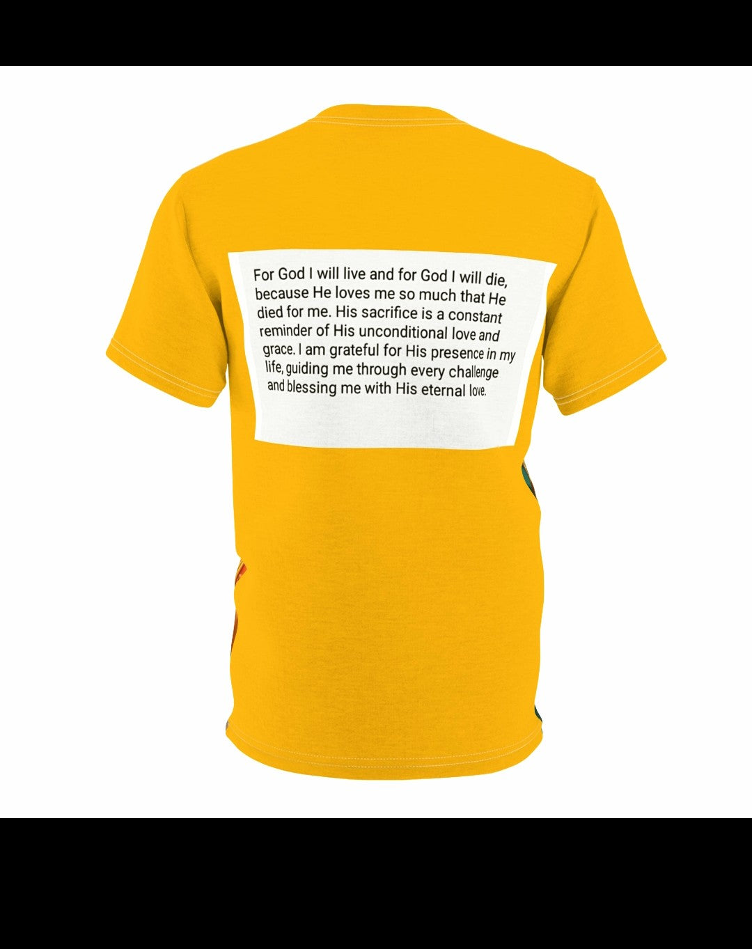 Unisex Cut & Sew Tee (AOP)